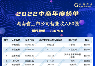 2022年湖南省上市公司營業收入排行榜（附榜單）