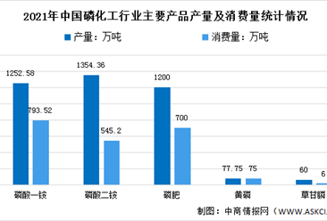 2022年中国磷化工市场现状及发展趋势预测分析（图）