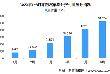 2022年6月零跑汽车交付情况：交付量略逊于理想哪吒（图）