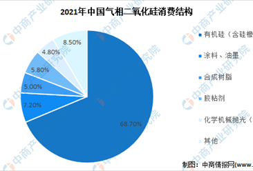 2022年中国气相二氧化硅行业市场及发展趋势数据预测分析（图）