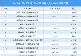 2022年《财富》中国500强最赚钱的40家公司排行榜（附榜单）