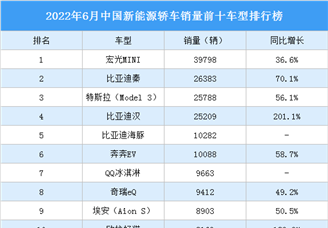 2022年6月中国新能源轿车销量前十车型排行榜（附榜单）