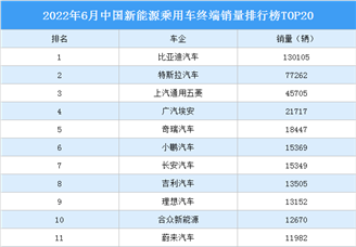 2022年6月中国新能源乘用车终端销量排行榜TOP20（附榜单）
