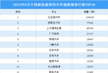 2022年6月中国新能源乘用车终端销量排行榜TOP20（附榜单）