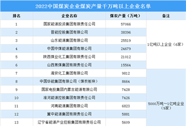 2022年中国煤炭企业煤炭产量千万吨以上企业名单：亿吨以上6家（图）