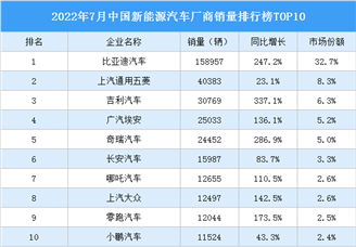 2022年7月中国新能源汽车厂商销量排行榜TOP10（附榜单）