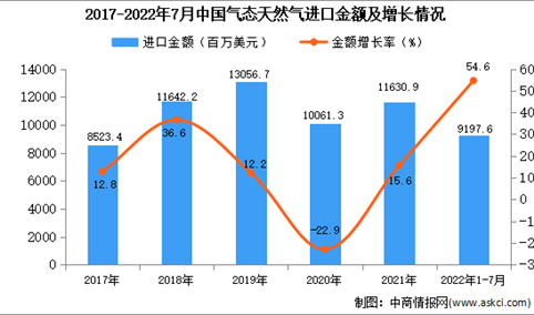 2022年1-7月中国气态天然气进口数据统计分析