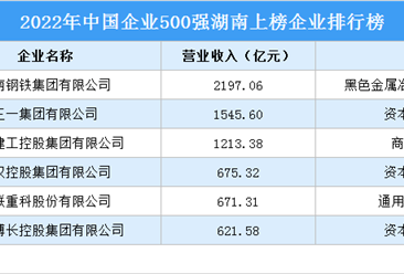 2022年中国企业500强湖南上榜企业排行榜（附榜单）