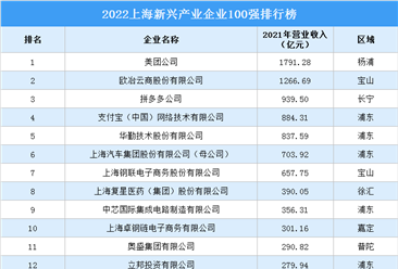 2022上海新兴产业企业100强排行榜（附榜单）