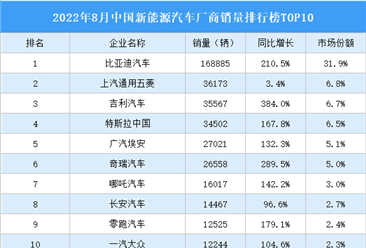 2022年8月中国新能源汽车厂商销量排行榜TOP10（附榜单）