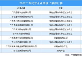 2022廣西民營企業納稅10強排行榜（附榜單）