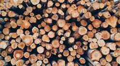 2022年8月中国原木及锯材进口数据统计分析