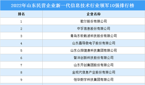 2022年山东民营企业新一代信息技术行业领军10强排行榜