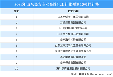 2022年山東民營企業高端化工行業領軍10強排行榜（附榜單）