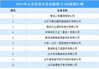 2022年山东民营企业创新潜力100强排行榜（附榜单）