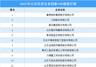 2022年山东民营企业创新100强排行榜（附榜单）