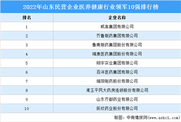 2022年山东民营企业医养健康行业领军10强排行榜（附榜单）