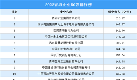 2022青海企业50强排行榜（附榜单）