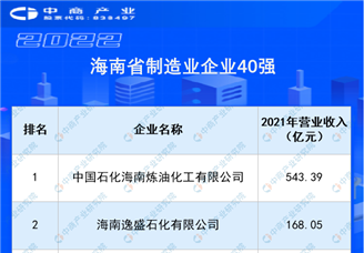 2022年海南省制造业企业40强榜单