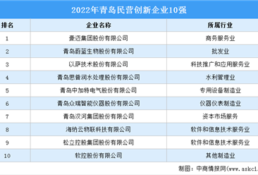 2022年青島民營創新企業10強排行榜
