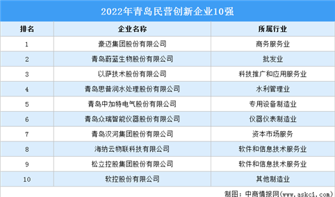2022年青岛民营创新企业10强排行榜