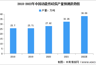 2022年中國功能性硅烷產量及進出口情況預測分析（圖）