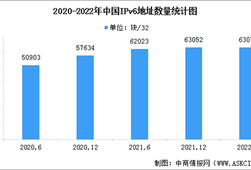 2022年中国IP地址数量及用户数量统计分析：IPv6地址数量增加（图）