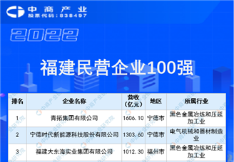 2022福建省民营企业100强榜单（附全榜单）