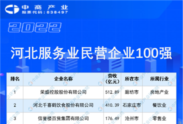 2022河北省服务业民营企业100强排行榜