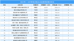 產業投資情報：2022年1-10月青島市重點企業投資拿地TOP50