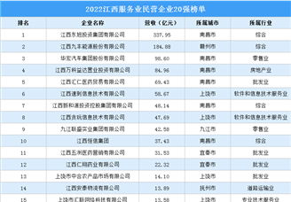 2022江西服務業民營企業20強榜單