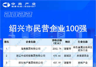 2022紹興市民營企業100強榜單（附榜單）