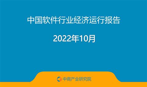 2022年10月中国软件行业经济运行报告（附全文）