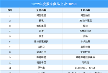2022年度数字藏品企业TOP30（附榜单）