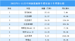 2022年1-11月中国新能源轿车销量前十车型排行榜（附榜单）