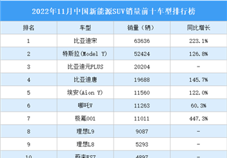 2022年11月中國新能源SUV銷量前十車型排行榜（附榜單）