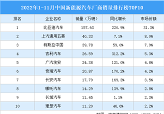 2022年1-11月中国新能源汽车厂商销量排行榜TOP10（附榜单）