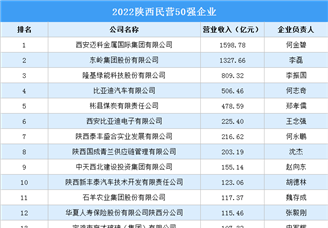 2022陜西民營50強企業排行榜（附榜單）