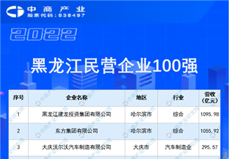 2022黑龙江民营企业100强排行榜（附榜单）