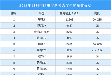 2022年11月中国造车新势力车型销量排行榜（附榜单）