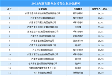 2022内蒙古服务业民营企业20强榜单（附榜单）