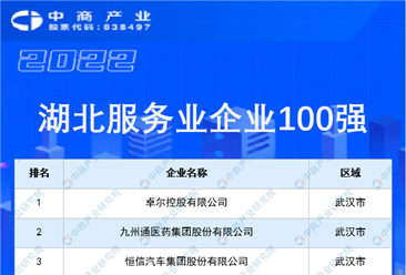 2022湖北服務(wù)業(yè)企業(yè)100強(qiáng)排行榜（附榜單）