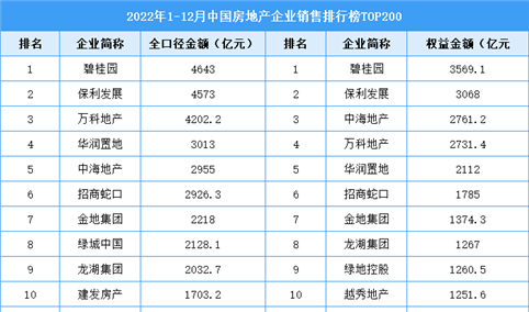 2022年1-12月中国房地产企业销售排行榜TOP200