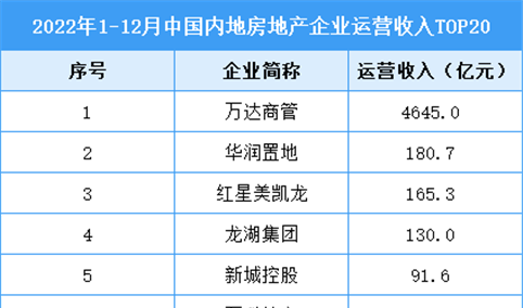 2022年1-12月中国房地产企业运营收入TOP20