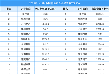 2022年1-12月中国房地产企业销售榜TOP200