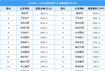 2022年1-12月中国房地产企业操盘榜TOP200