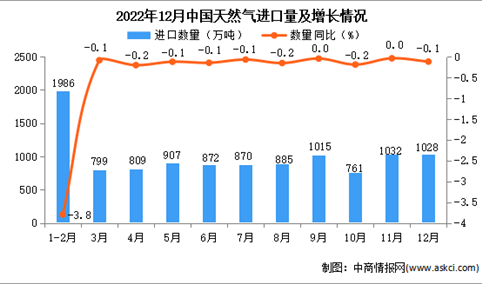2022年12月中国天然气进口数据统计分析