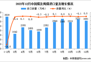 2022年12月中國煤及褐煤進口數據統計分析
