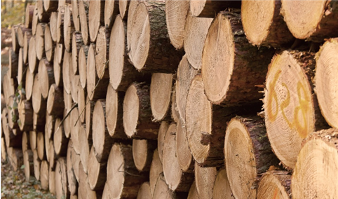 2022年1-12月中国原木及锯材进口数据统计分析
