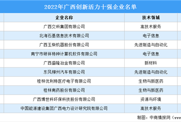 2022年广西创新活力十强企业排行榜